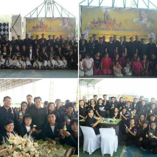 Mol-Thailand