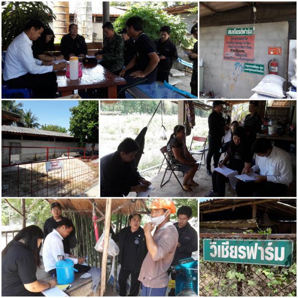 Mol-Thailand