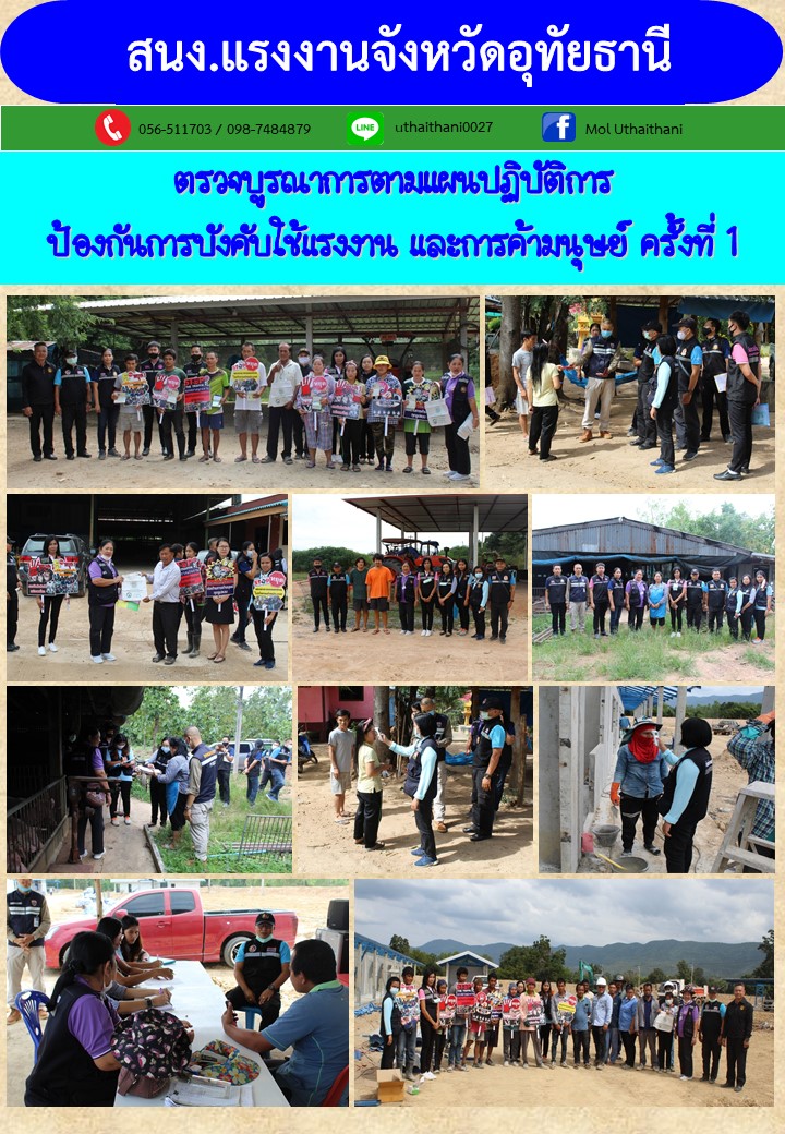 Mol-Thailand